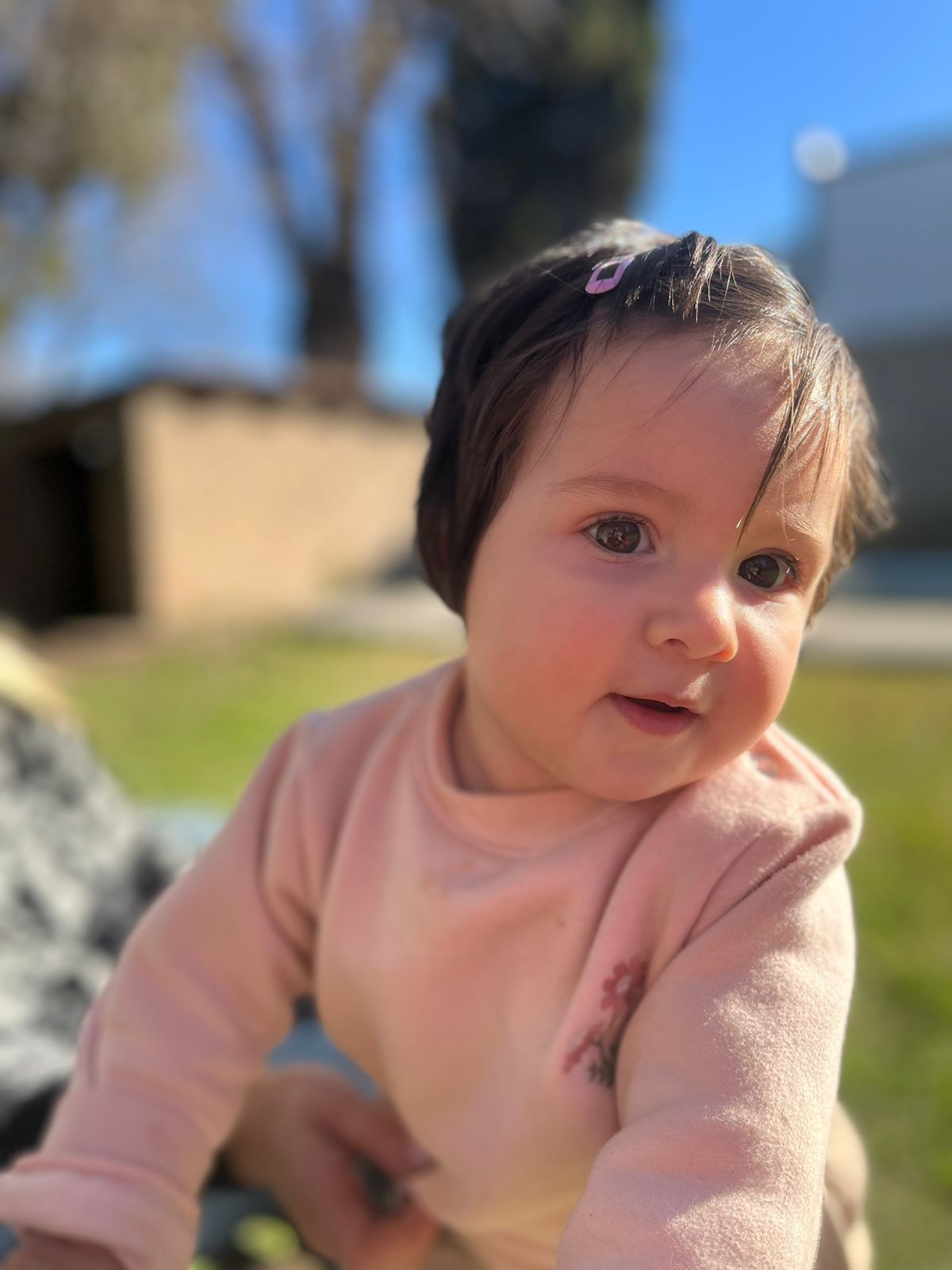 WhatsApp Image 2025-07-20 at 12.21.07(1).jpeg